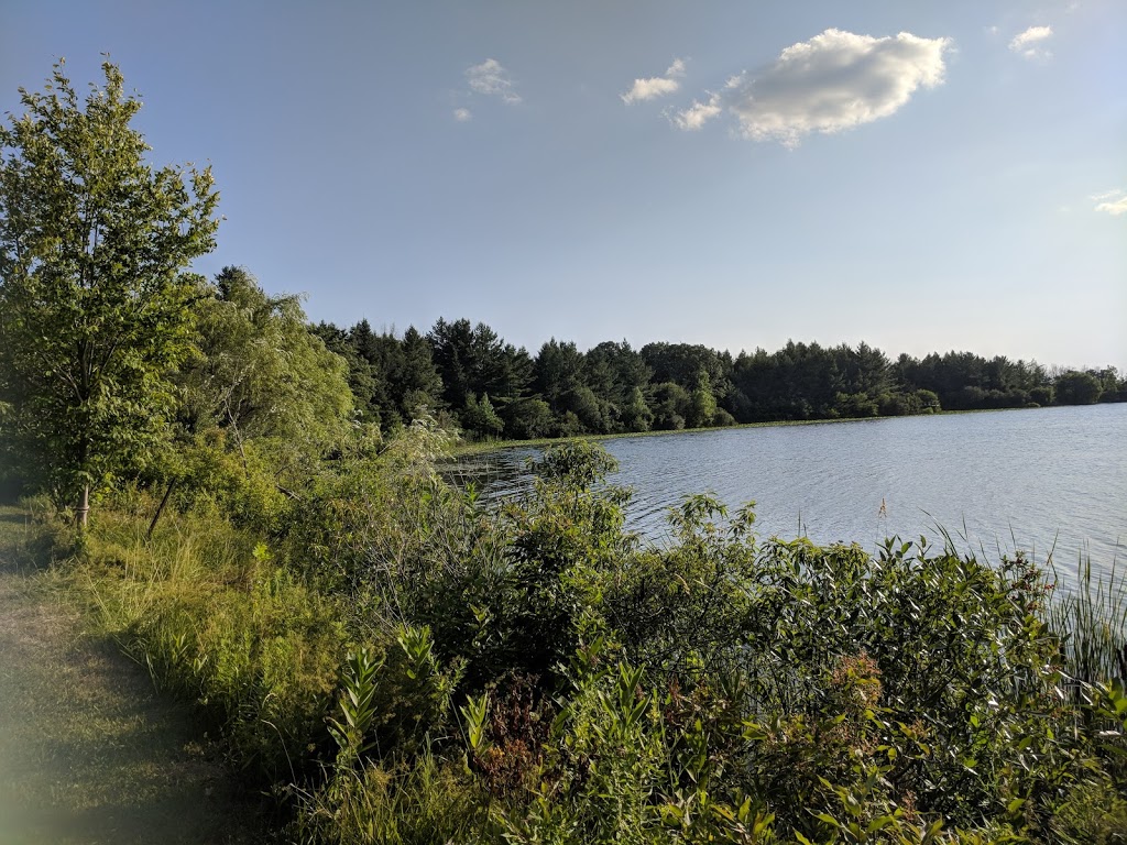 Chippawa Creek Conservation Area | 74646 Regional Rd 45, Wellandport, ON L0R 2J0, Canada | Phone: (905) 386-6387