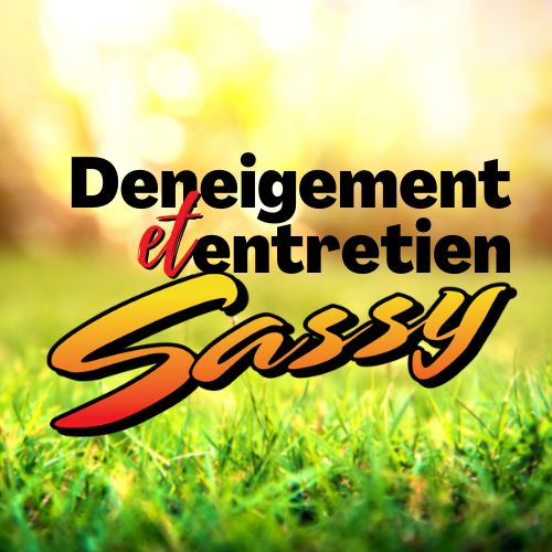 Déneigement et entretien Sassy | 717 Av. Boivin, Roberval, QC G8H 3H7, Canada | Phone: (418) 630-6333