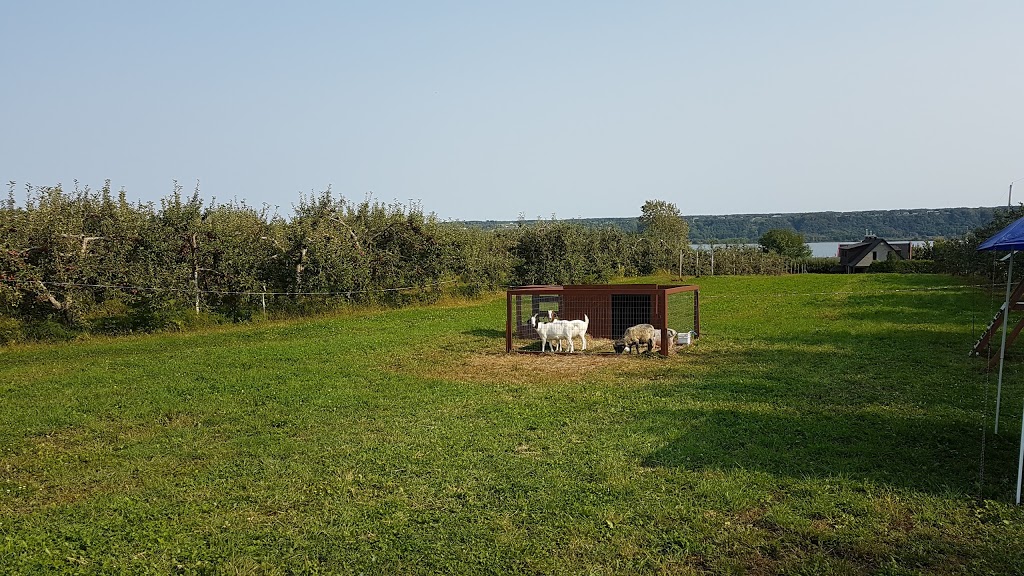 Ferme Arthur Cauchon Inc | 7862, av Royale, Château-Richer, QC G0A 1N0, Canada | Phone: (418) 824-4680