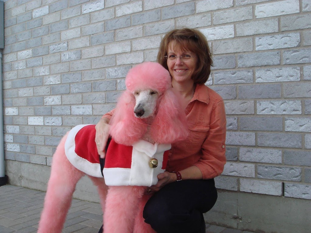 Heathers Poodle Care Ltd | 71 Redbud Crescent, Simcoe, ON N3Y 0B8, Canada | Phone: (519) 389-7529