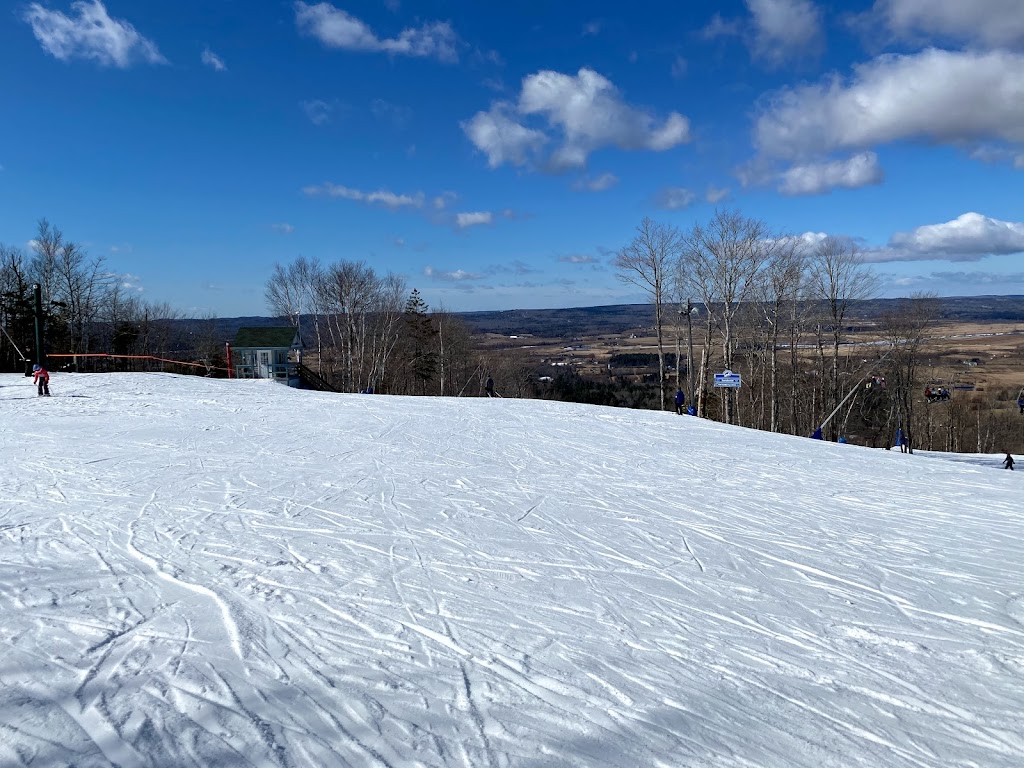 Ski Martock | 370 Ski Martock Rd, Windsor, NS B0N 2T0, Canada | Phone: (902) 798-9501