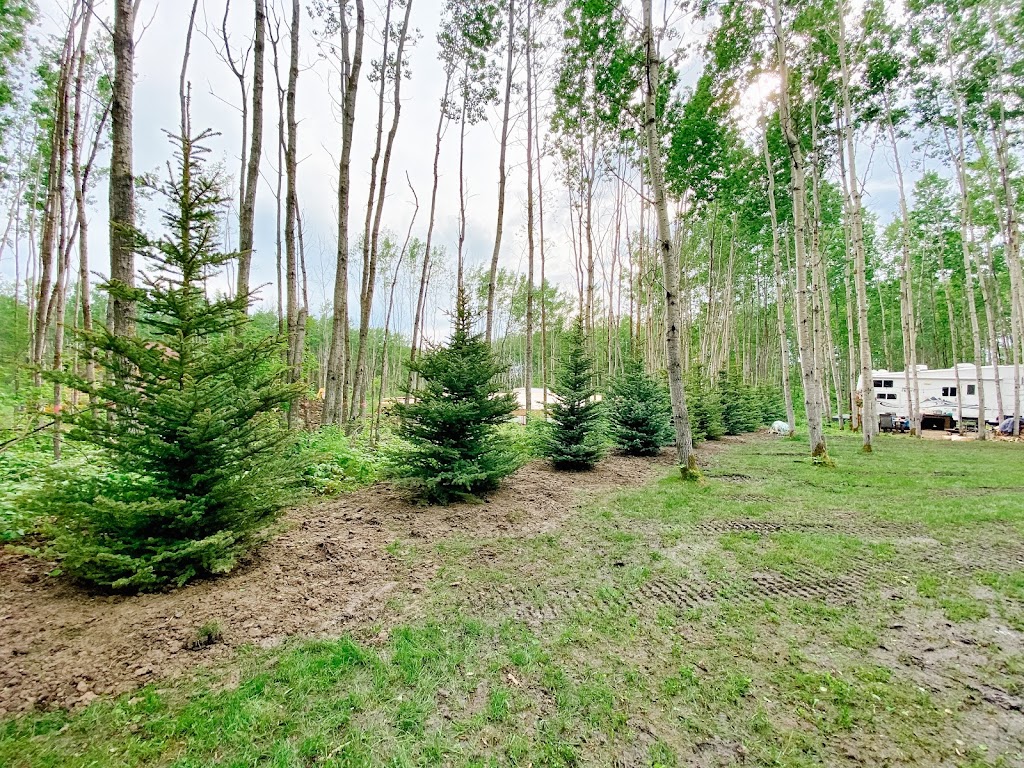 Trusty Tree Services | 11410 2 St, Sherwood Park, AB T8A 6E8, Canada | Phone: (780) 860-5500