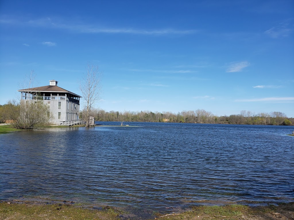 Rainbow Lake (Camp Trillium) | 433 Thompson Rd W, Waterford, ON N0E 1Y0, Canada | Phone: (519) 443-7408