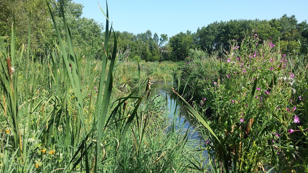 Cedar Valley Park | Markham, ON L3P, Canada