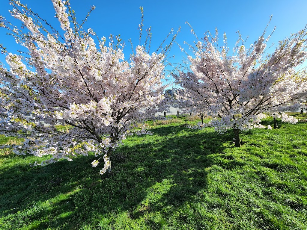 Larry Berg Flight Path Park | Russ Baker Way, Richmond, BC V7B 1C4, Canada | Phone: (604) 207-7077