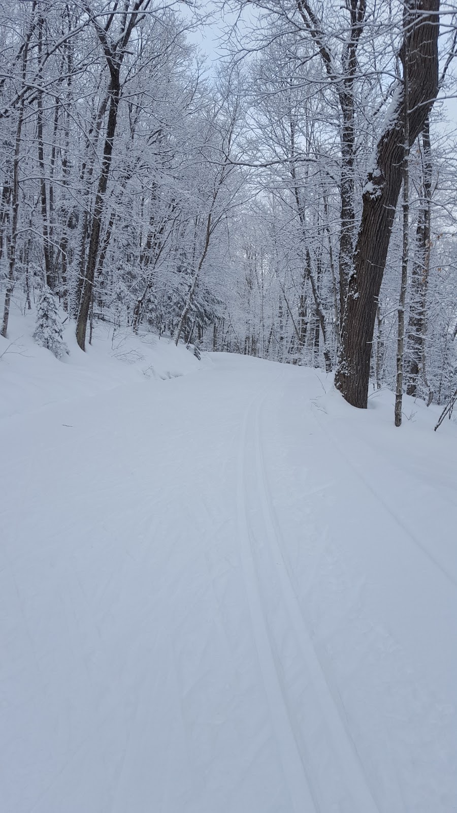 Arrowhead Provincial Park Cross Country Skiing | RR3, Huntsville, ON P0A 1R0, Canada | Phone: (705) 789-5105