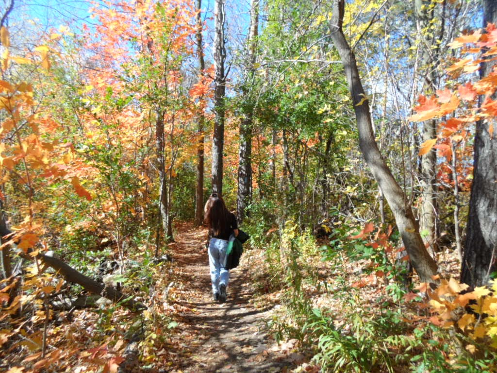 Greensville Optimist Park | Optimist Trail, Hamilton, ON L9H 5H3, Canada