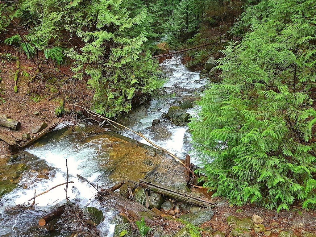 Princess Park | North Vancouver, BC V7K 1G7, Canada