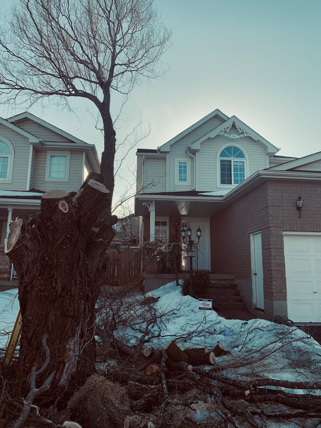 A - 1 Year Round Tree Service | 15 Dunsmere Dr, Kitchener, ON N2E 2H6, Canada | Phone: (226) 339-8301