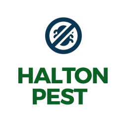 Halton Pest | 2416 Wyecroft Rd #7, Oakville, ON L6L 6L6, Canada | Phone: (289) 856-1001