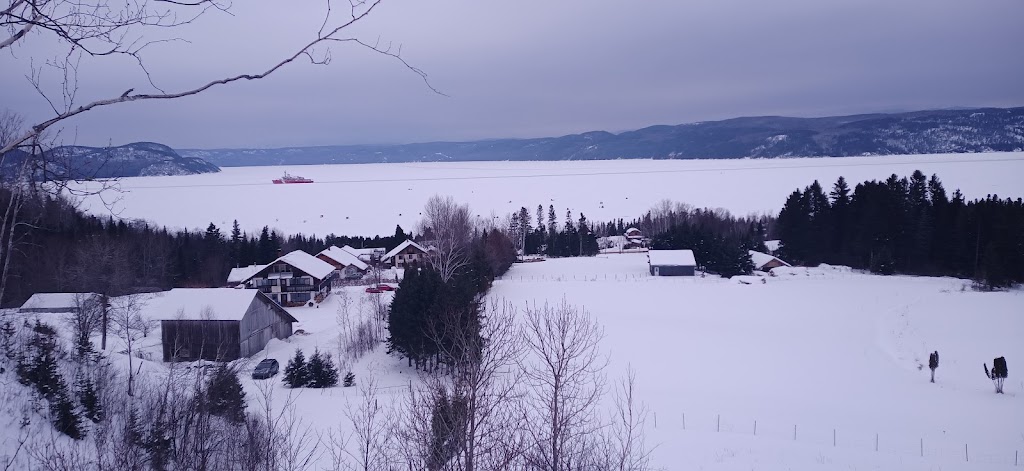 Groupe de recherches écologiques de La Baie | 2952 Sent. du Petit-Patelin, La Baie, QC G7B 3P6, Canada | Phone: (418) 544-9113