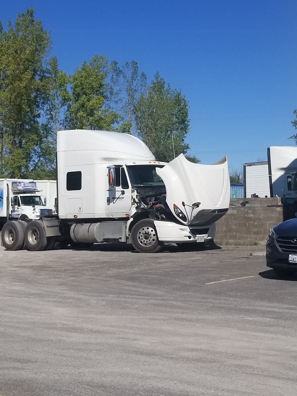 North American Transport Driving Academy Belleville | 250 Sidney St, Belleville, ON K8P 3Z3, Canada | Phone: (613) 929-0057