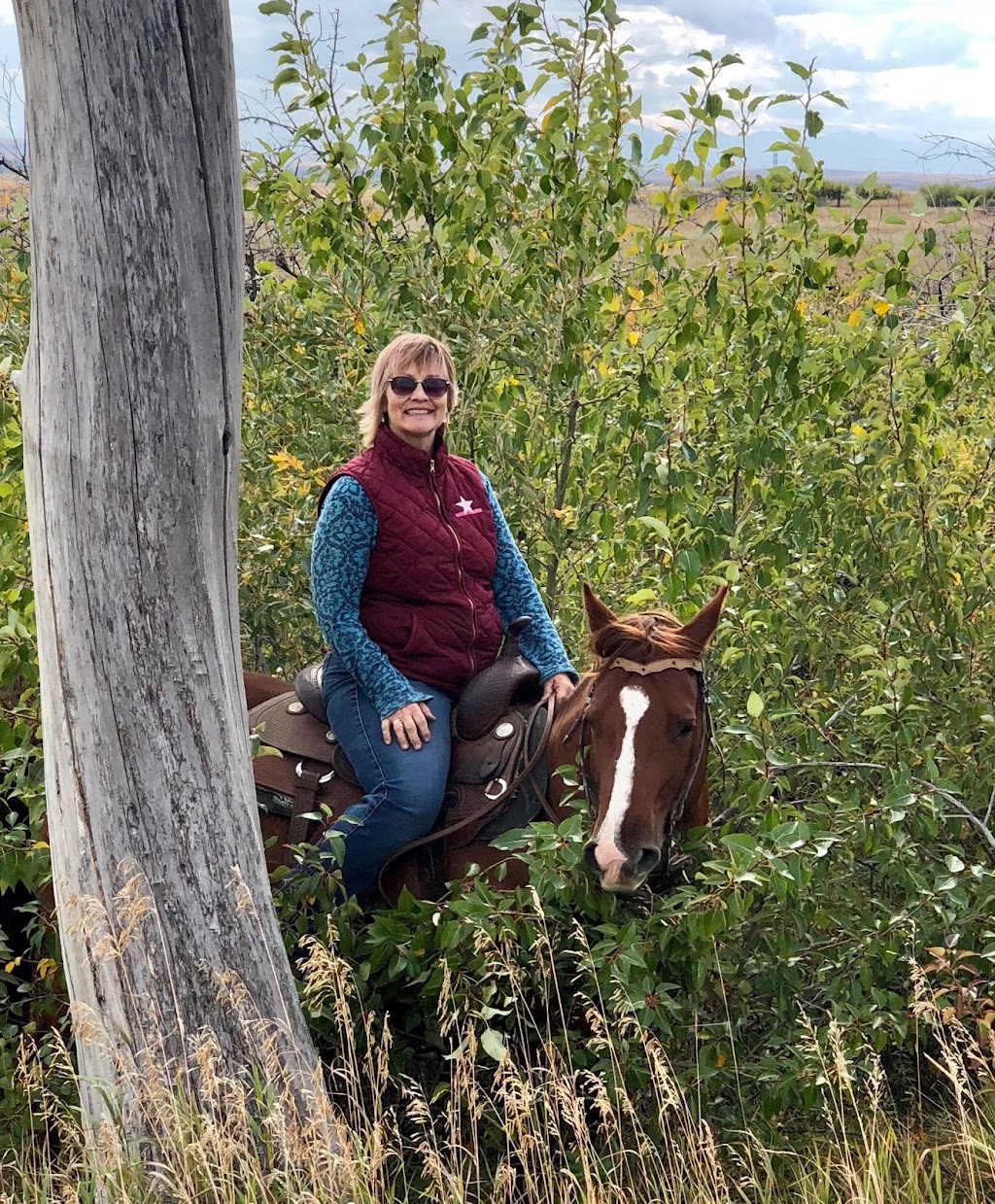 SR Horse Training | NW 17-9-26 W4, Macleod, AB T0L 0Z0, Canada | Phone: (403) 331-8440