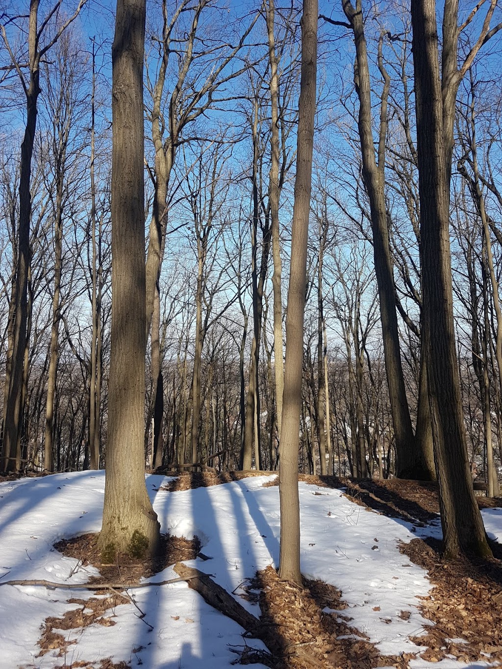 Glenridge Quarry Naturalization Site | 1860 Sir Isaac Brock Way, St. Catharines, ON L2T 4C2, Canada | Phone: (800) 263-7215