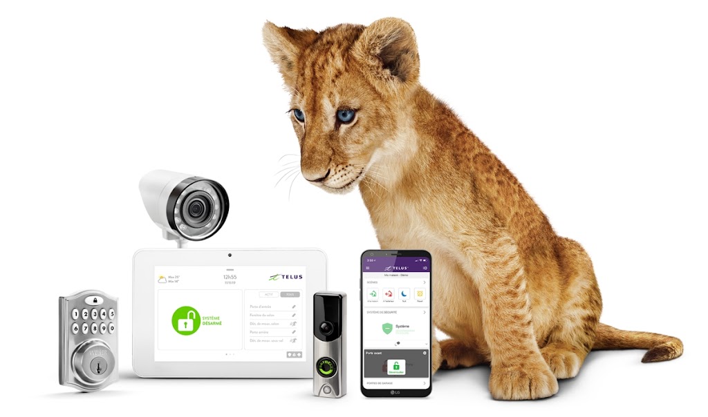 TELUS Mobility Store | Place Versailles, 7275 Sherbrooke St E #49, Montreal, QC H1N 1E9, Canada | Phone: (514) 354-6383