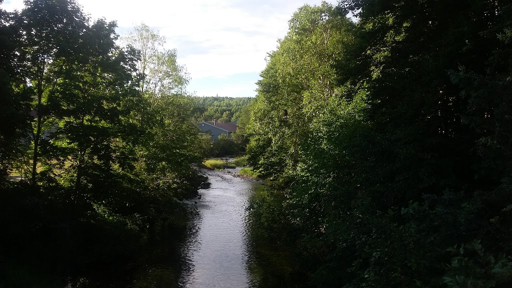 Frasers Mills Fish Hatchery | 1158 Old Pinevale Rd, Saint Andrews, NS B0H 1X0, Canada | Phone: (902) 783-2926