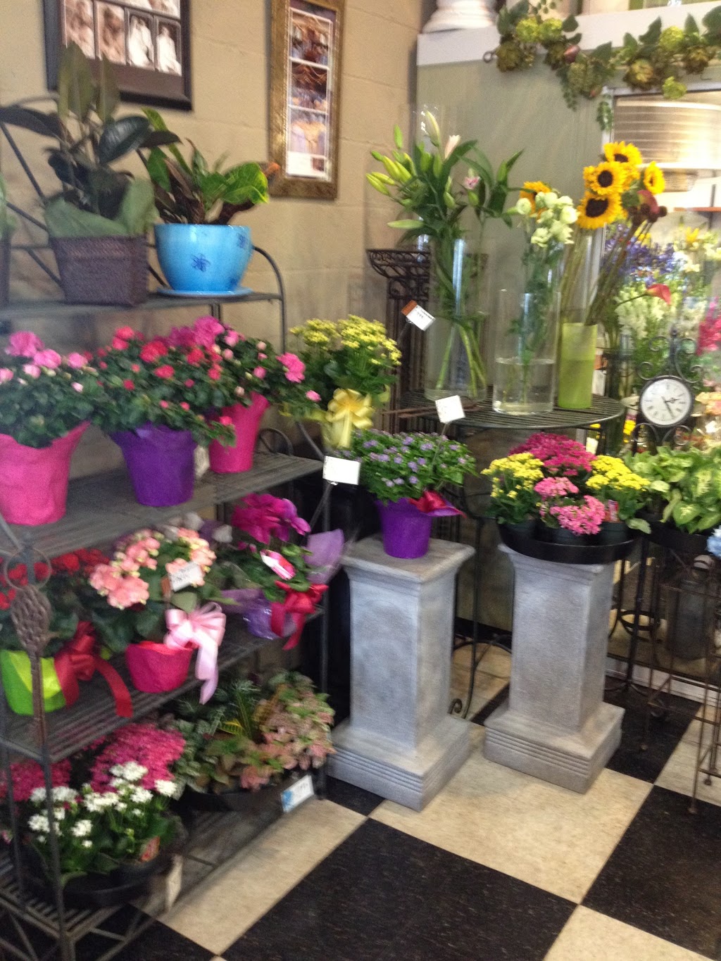 Jennings Florists | 2508 Estevan Ave, Victoria, BC V8R 2S7, Canada | Phone: (250) 477-9538