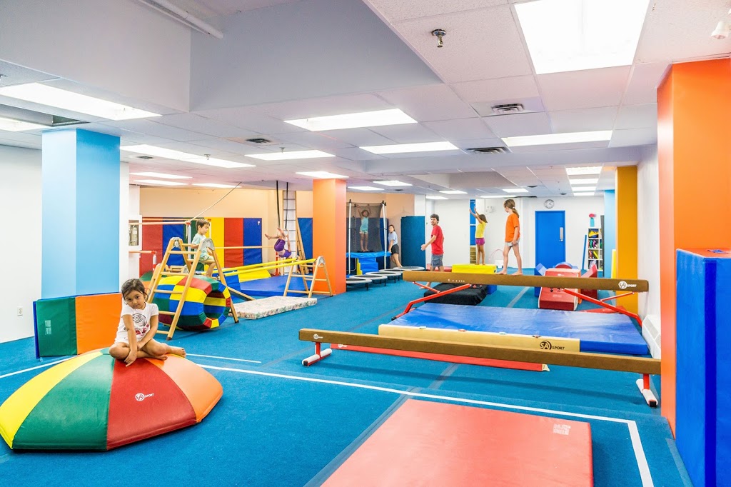 High Junction Gymnastics Inc | 2340 Dundas St W, Toronto, ON M6P 4A9, Canada | Phone: (416) 588-3535