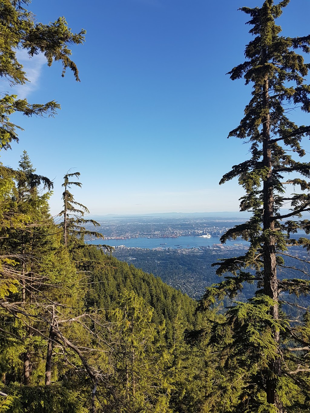 Flint & Feather Trail | North Vancouver, BC V7R 4K9, Canada