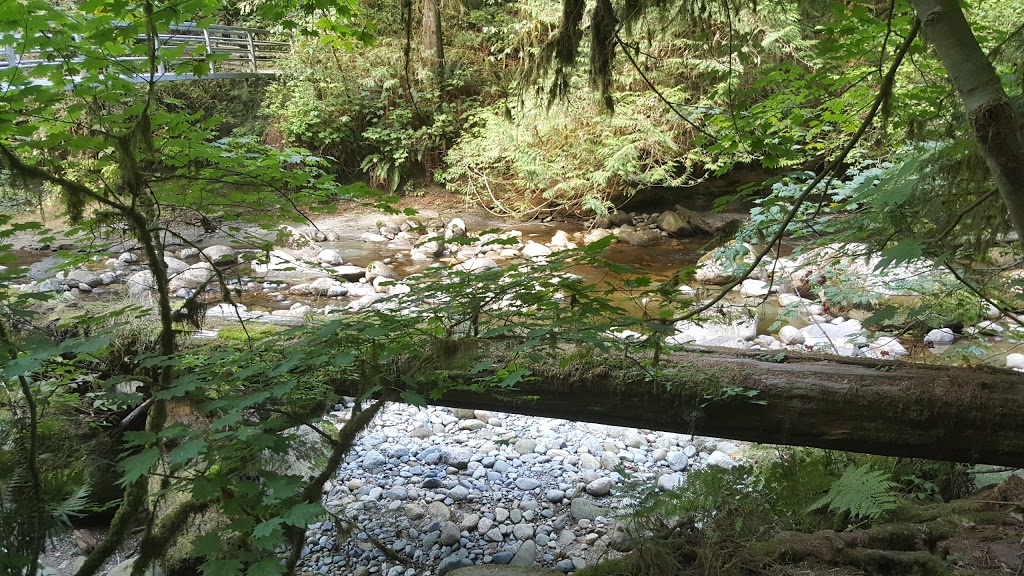 Kanaka Creek Regional Park | 11450 256 St, Maple Ridge, BC V2W 1H1, Canada | Phone: (604) 530-4983