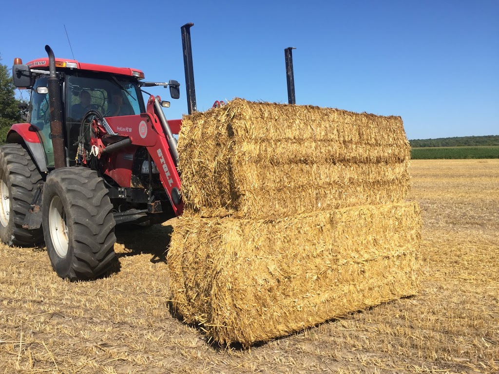 Ferme Milton Farm | 833 Rang de la Rivière N, Sainte-Cécile-de-Milton, QC J0E 2C0, Canada | Phone: (450) 502-6708