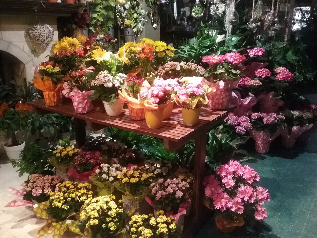 Fleuriste Fleurs de Cactus | 317 Boulevard Sir-Wilfrid-Laurier, Mont-Saint-Hilaire, QC J3H 3N8, Canada | Phone: (450) 464-0340