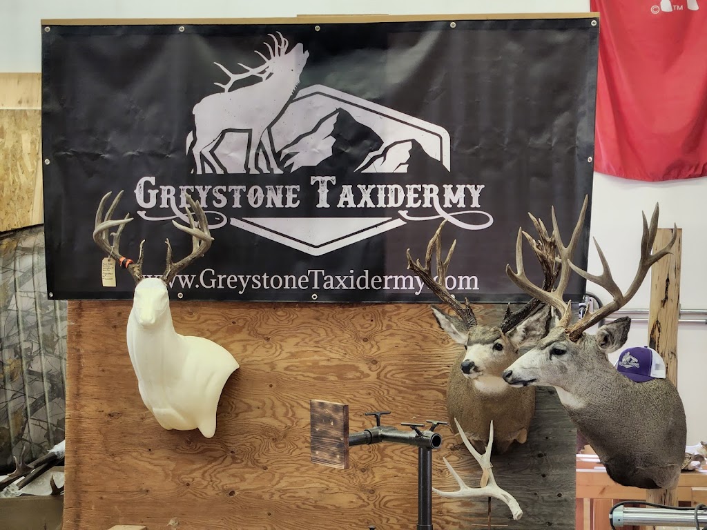 GreyStone Taxidermy | Box 2183, Claresholm, AB T0L 0T0, Canada | Phone: (587) 574-4888