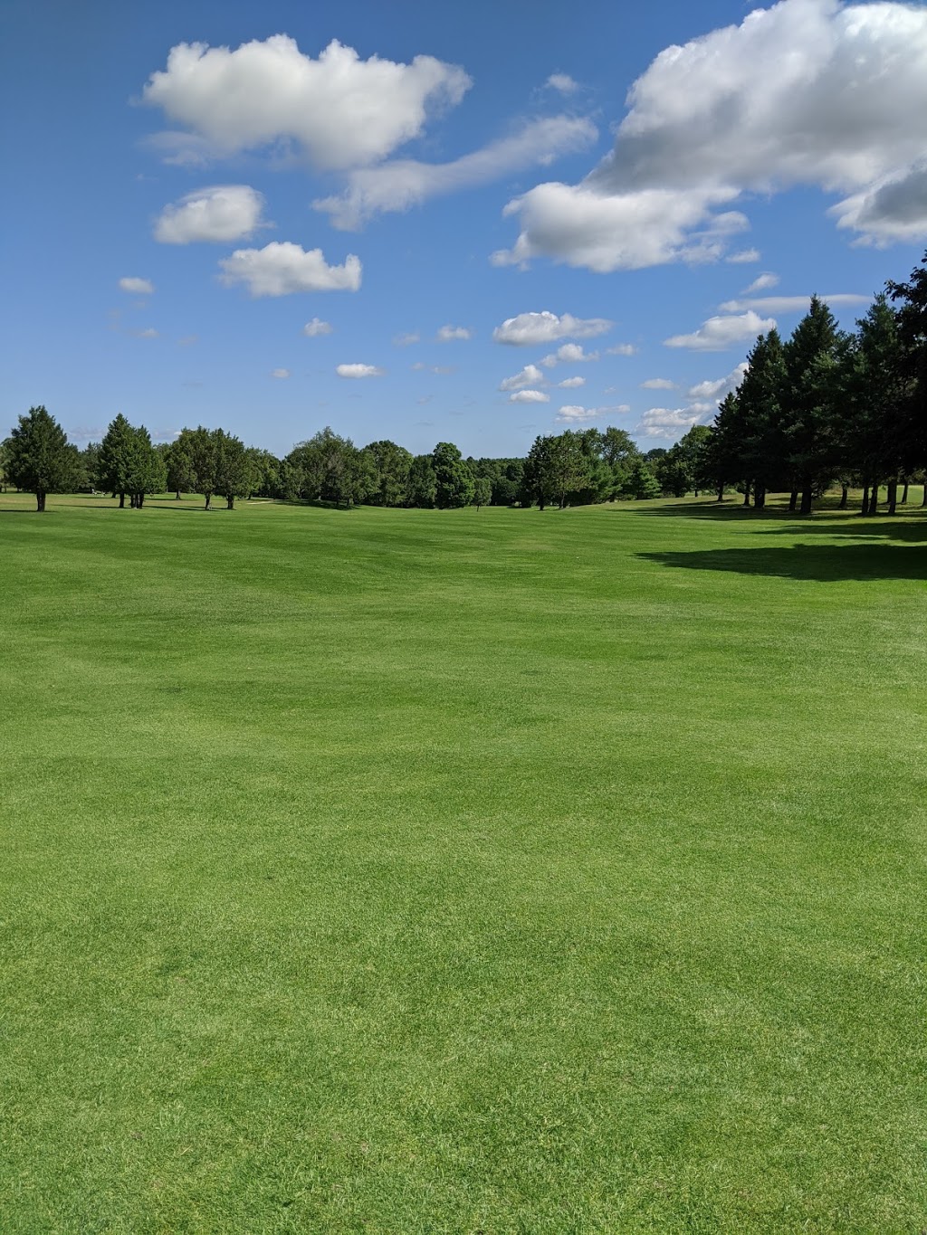 Markdale Golf and Curling Club | 85 Edith Ave, Markdale, ON N0C 1H0, Canada | Phone: (519) 986-2690