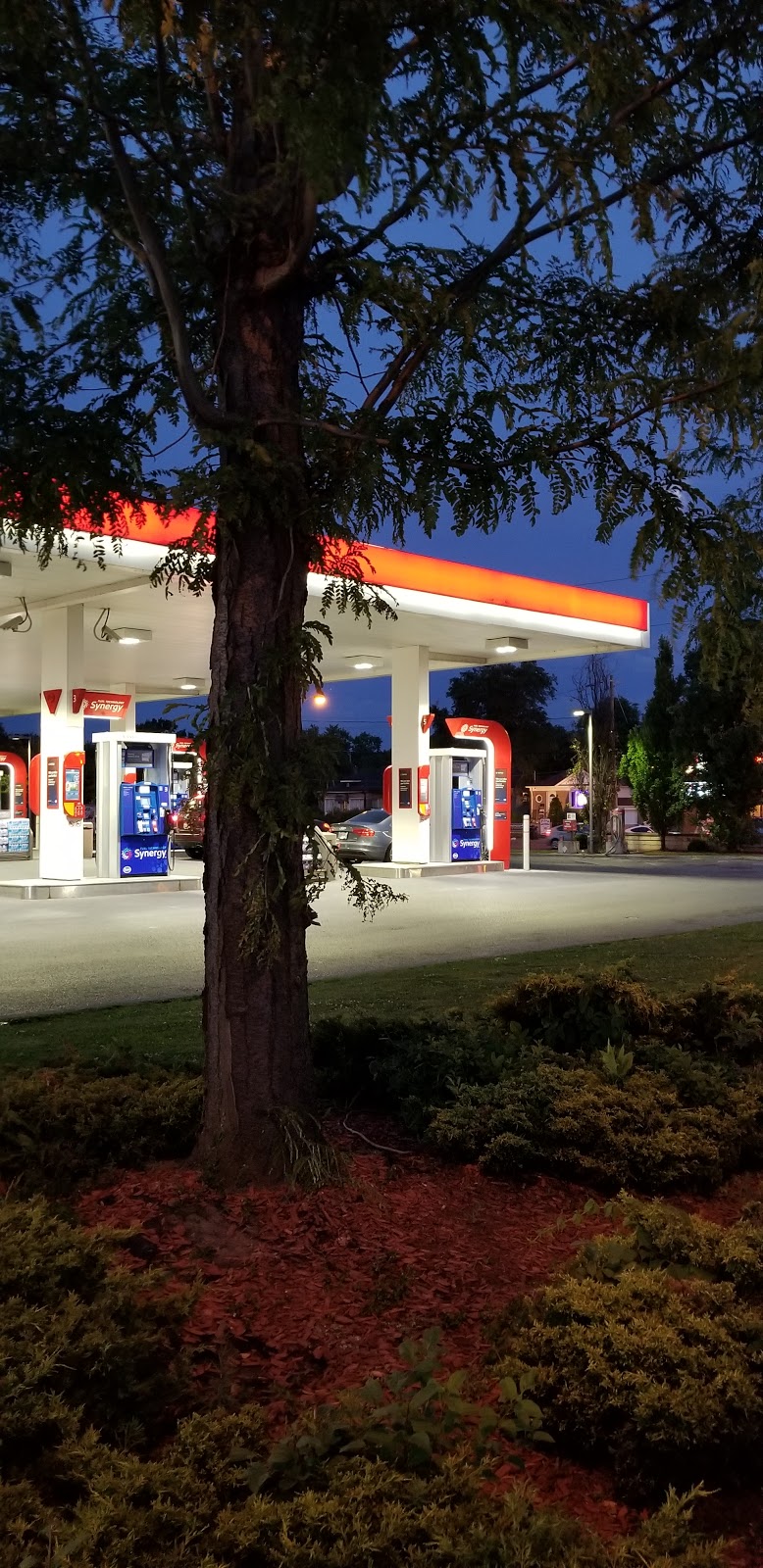 Esso | 7015 Yonge St, Thornhill, ON L3T 2A5, Canada | Phone: (905) 764-6787