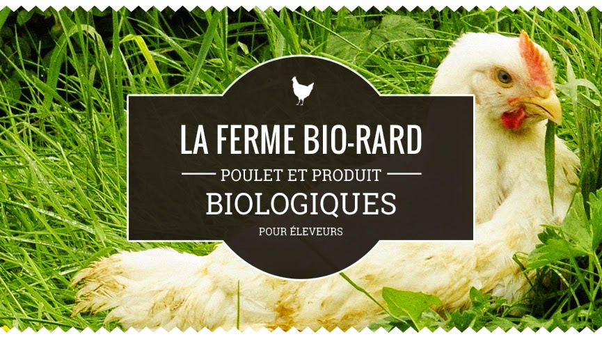 Ferme Bio-Rard | 384 Rang Casimir, Ange-Gardien, QC J0E 1E0, Canada | Phone: (450) 293-1498