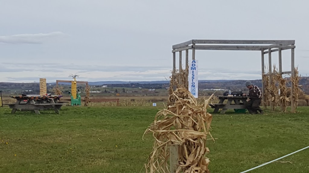 Davison Farms - Corn Maze | 1119 Falmouth Dyke Rd, Falmouth, NS B0P 1L0, Canada | Phone: (902) 798-0283