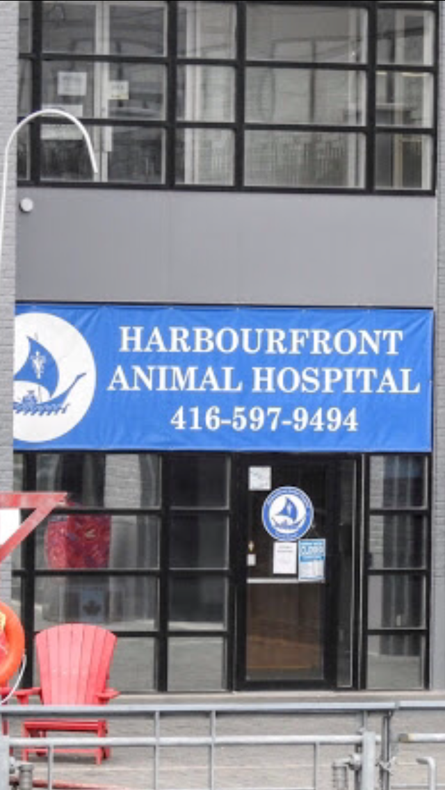 Harbourfront Animal Hospital | 370 Queens Quay W, Toronto, ON M5V 3J3, Canada | Phone: (416) 597-9494