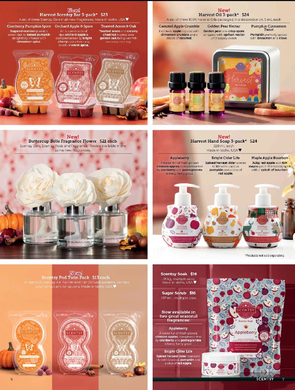 Muskokagirl.scentsy.ca | 3727 hwy 518 east, Kearney, ON P0A 1M0, Canada | Phone: (705) 571-2855