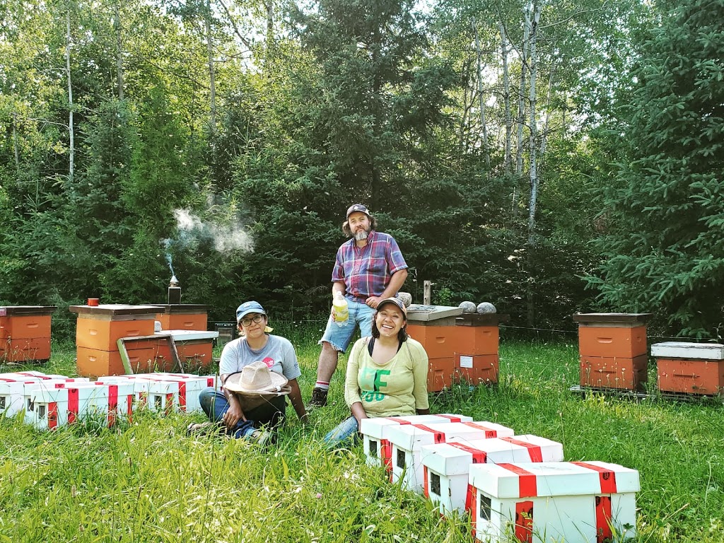 Eccles Apiaries Honey | 492554 Southgate SideRoad 49, Holstein, ON N0G 2A0, Canada | Phone: (519) 731-4235