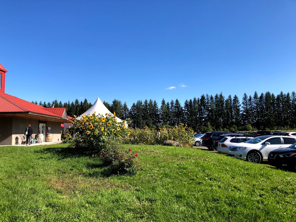 Domaine De Lavoie | 100 Rang de la Montagne, Rougemont, QC J0L 1M0, Canada | Phone: (450) 469-3894