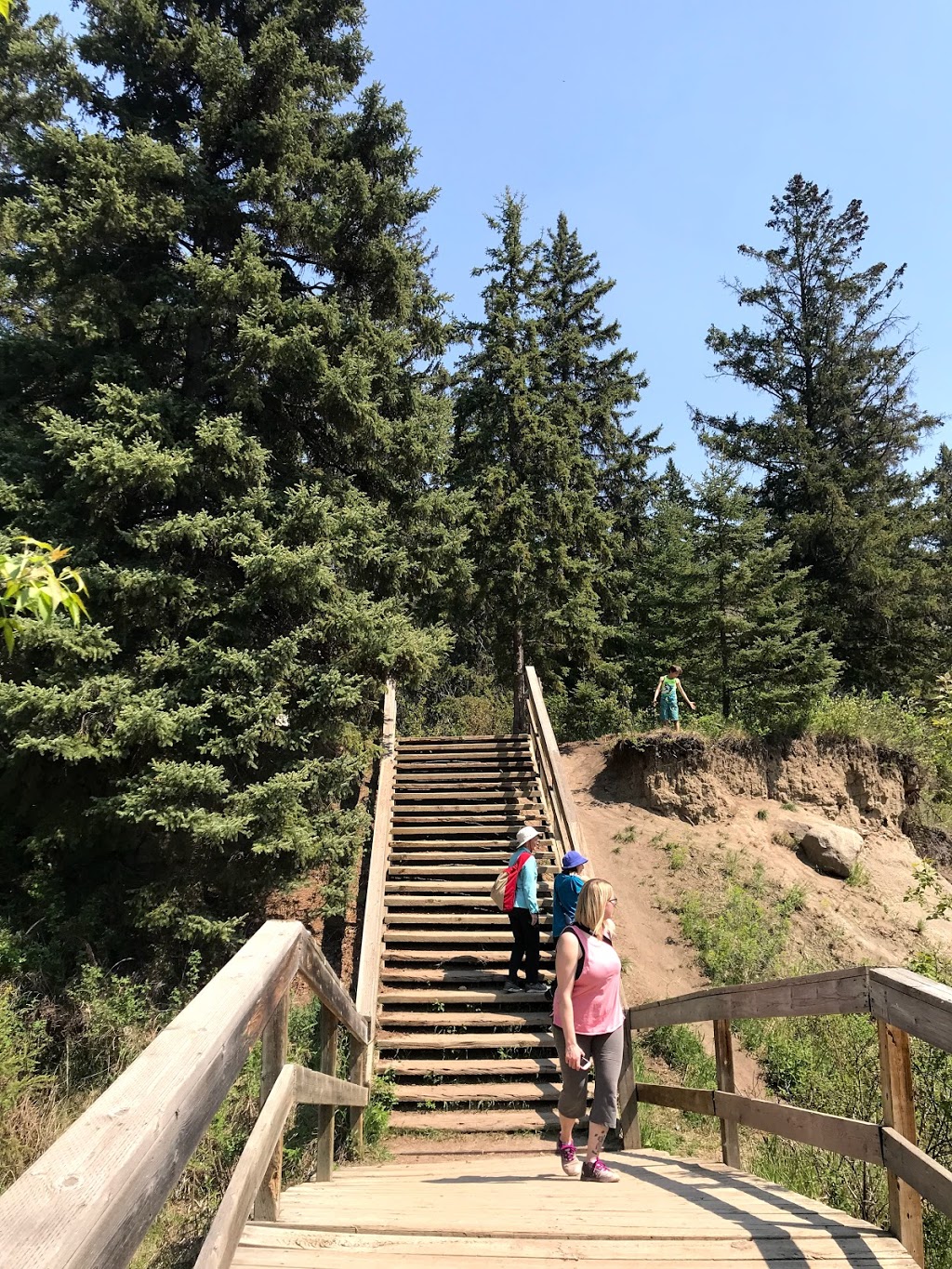 Whitemud Creek Stairs #250 | Unnamed Road, Edmonton, AB T6J 2C8, Canada