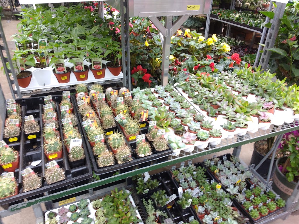 Maple Leaf Garden Centre | 1343 Lynn Valley Rd, North Vancouver, BC V7J 2A5, Canada | Phone: (604) 985-1784