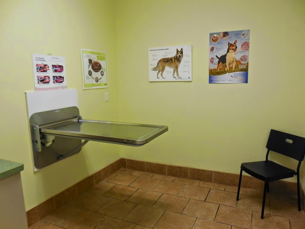 Dufferin Rutherford Veterinary Hospital | 3-1611 Rutherford Rd, Concord, ON L4K 0C6, Canada | Phone: (905) 832-0011