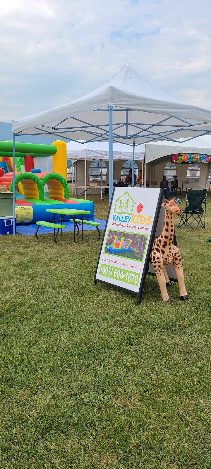 Valley Kids inflatables & party rentals | Crooked Tree Pl, Fairmont Hot Springs, BC V0B 1L1, Canada | Phone: (250) 581-5642