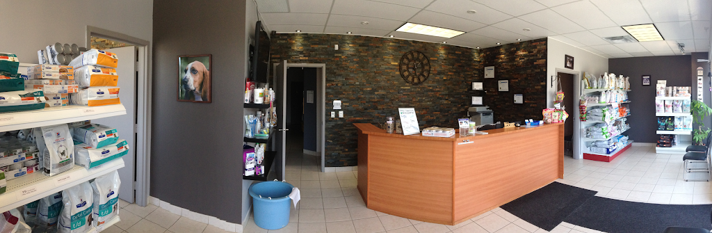 Downey Animal Hospital | 115 Downey Rd #9a, Guelph, ON N1C 1A2, Canada | Phone: (519) 265-8387