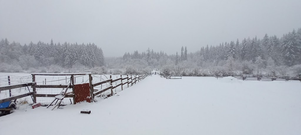 Avalon Blueberry Farm | 8286 Faber Rd, Port Alberni, BC V9Y 9B4, Canada | Phone: (250) 724-6821