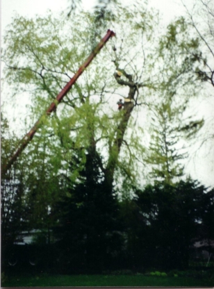 Four Seasons Expert Tree Maintenance & Removal Inc | Saddlewood Drive TWP 907515, Kitchener, ON N2P 2K2, Canada | Phone: (519) 632-7771