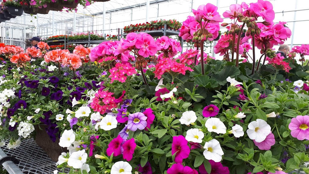 Connon Nurseries | 1870 Davis Dr W, Newmarket, ON L3Y 4V9, Canada | Phone: (289) 803-8088