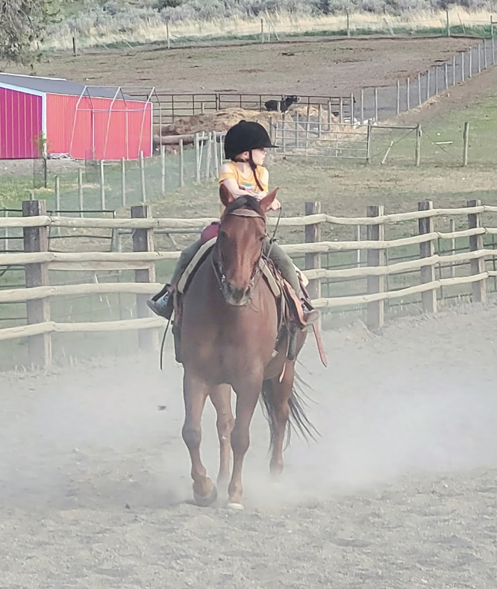 Erin Valley Riding Stable | 8825 Barnhartvale Rd, Kamloops, BC V2C 6W1, Canada | Phone: (250) 573-5442