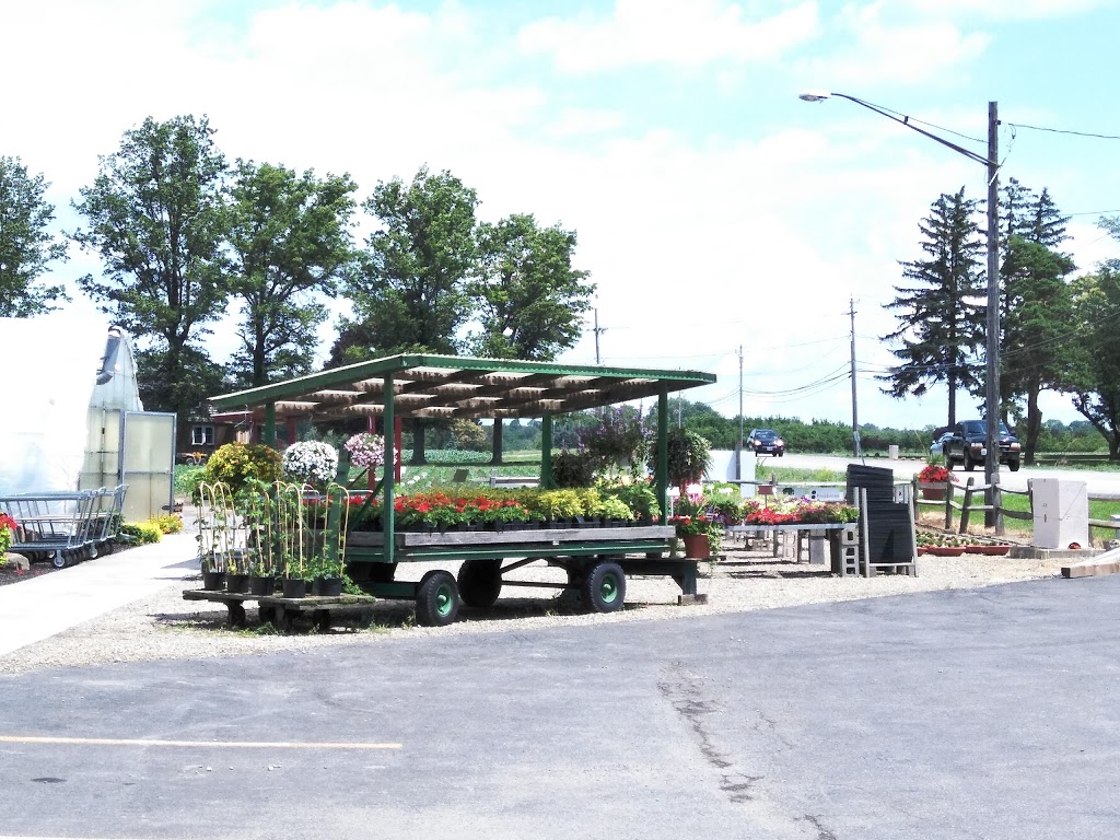 Agles Farm Market | 7952 Gowanda State Rd, Eden, NY 14057, USA | Phone: (716) 992-4290