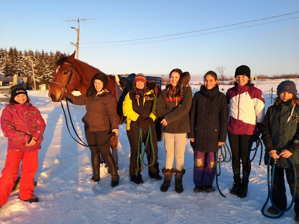 Écurie Aljarad | 87 5e Rang, Saint-François-Xavier-de-Brompton, QC J0B 2V0, Canada | Phone: (819) 446-1666