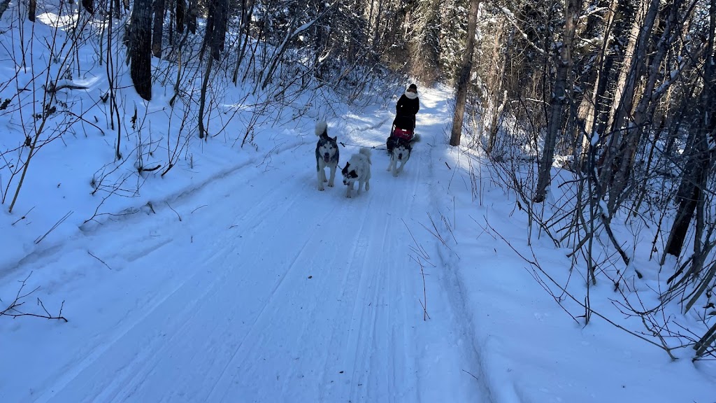 Relais Randonnées du Nord | Maria-Chapdelaine, QC G0W 1R0, Canada | Phone: (418) 679-6946