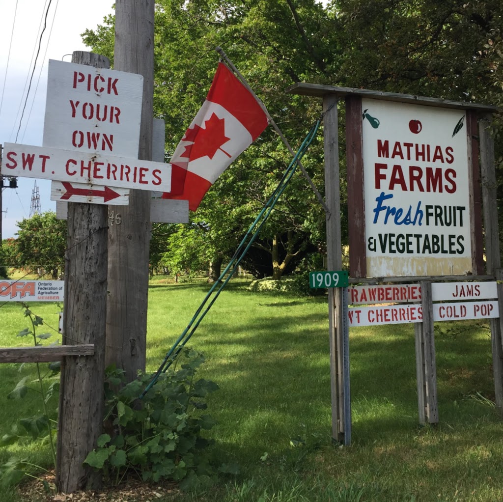 Mathias Farms | 1909 Effingham St, Ridgeville, ON L0S 1M0, Canada | Phone: (905) 892-6166