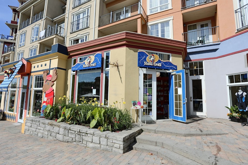 Studio Créatif Tremblant | 151 Chemin du Curé Deslauriers, Mont-Tremblant, QC J8E 1C9, Canada | Phone: (819) 429-5599