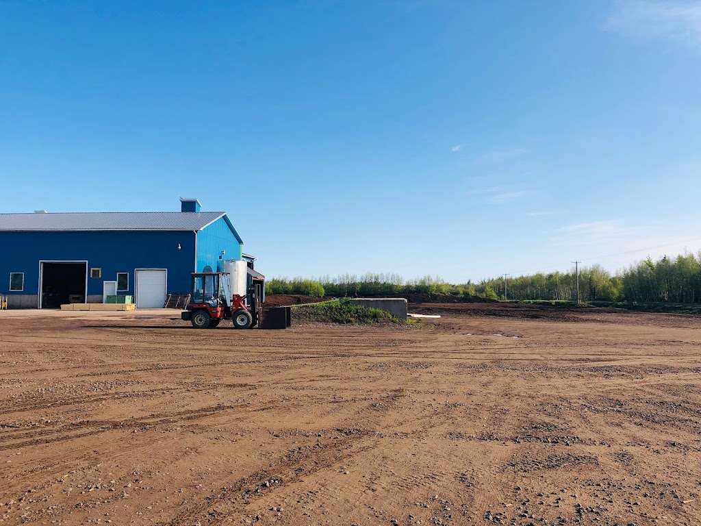 Beausejour Peat Moss Inc | 21 Bog Rd, Grand-Barachois, NB E4P 6V8, Canada | Phone: (506) 532-6408